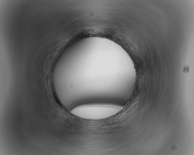 X0000103151345200808221118