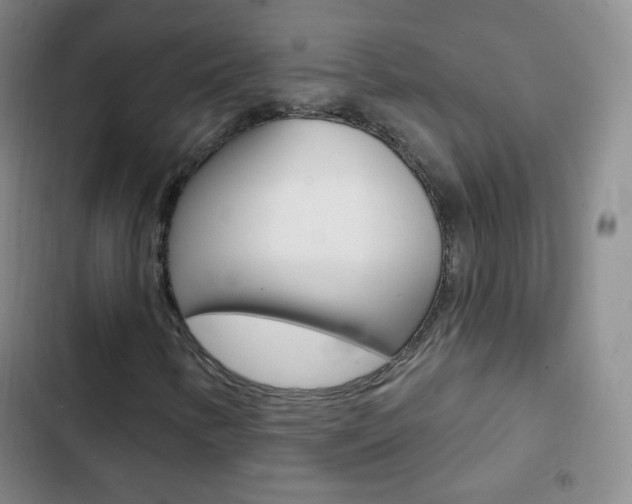 X0000103151346200808221118