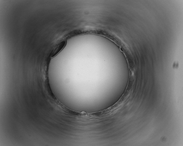 X0000103151348200808221118