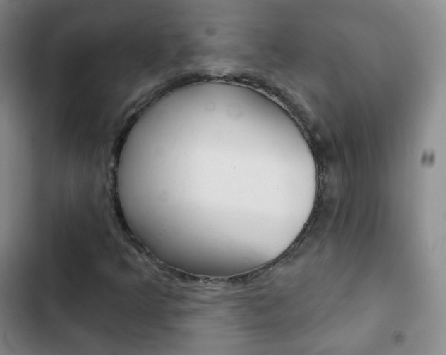 X0000103151349200808221118