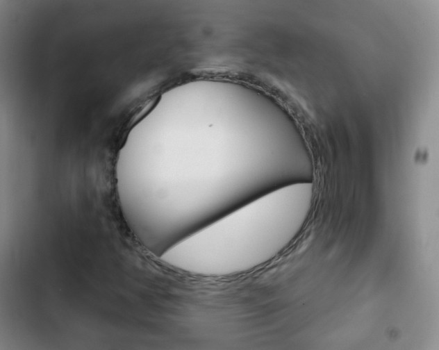X0000103151350200808221118