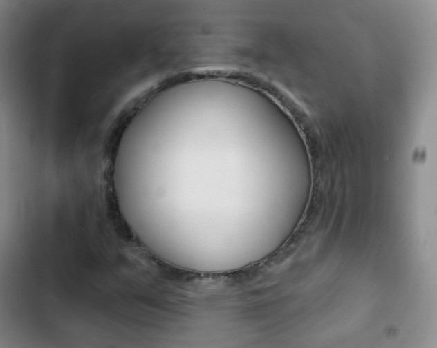 X0000103151351200808221118