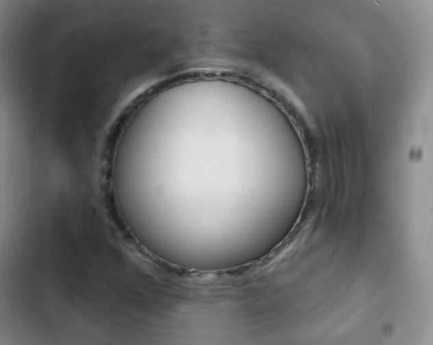 X0000103151352200808221118