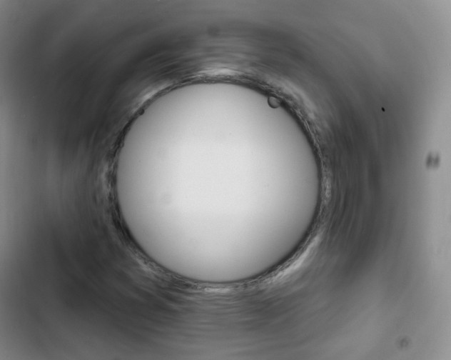 X0000103151353200808221118