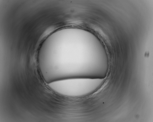 X0000103151354200808221118