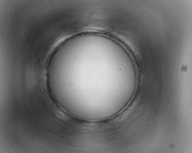 X0000103151355200808221118