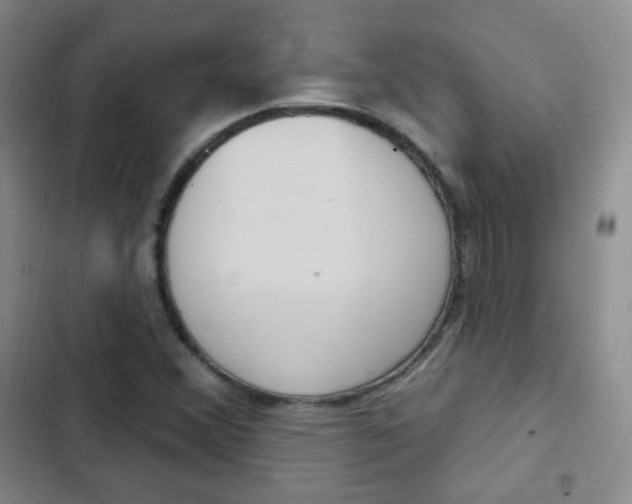 X0000103151356200808221118