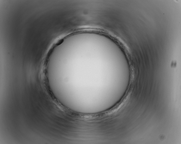 X0000103151357200808221118