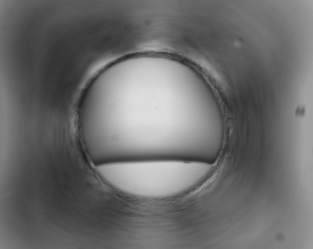X0000103151358200808221118