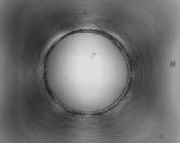 X0000103151359200808221118