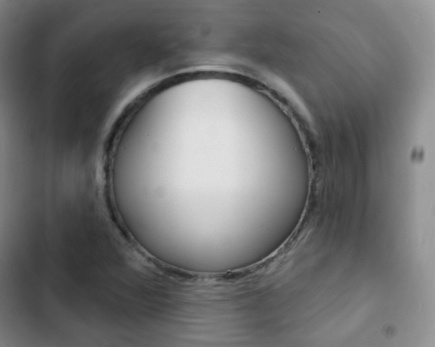 X0000103151360200808221118