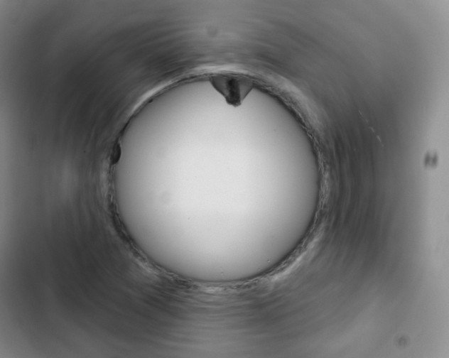 X0000103151361200808221118