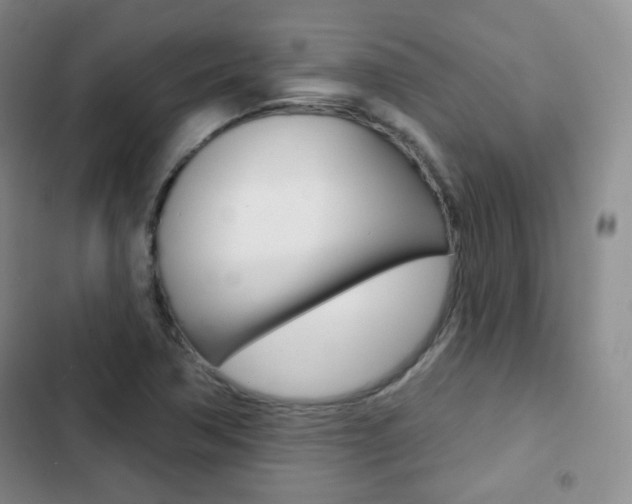 X0000103151362200808221118