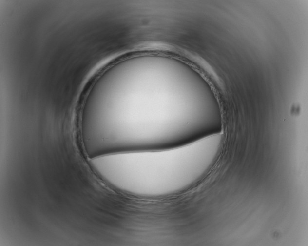 X0000103151364200808221118
