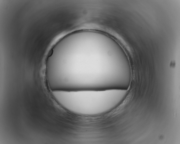 X0000103151366200808221118