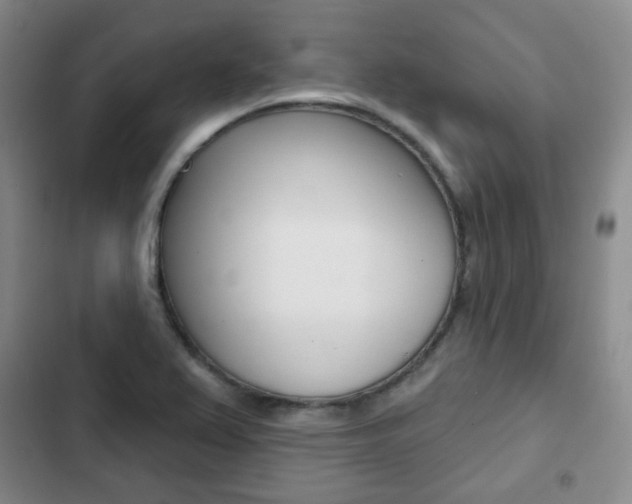 X0000103151367200808221118