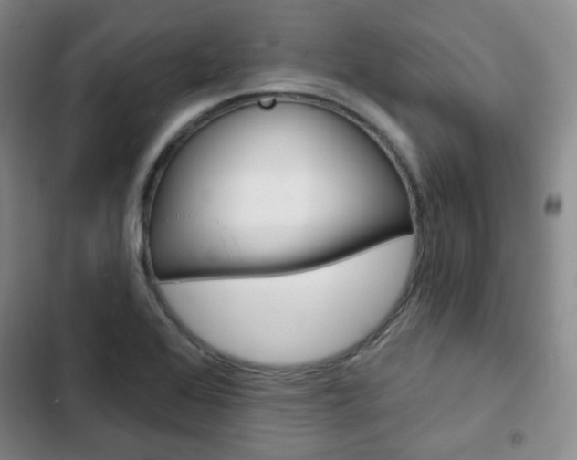 X0000103151368200808221118
