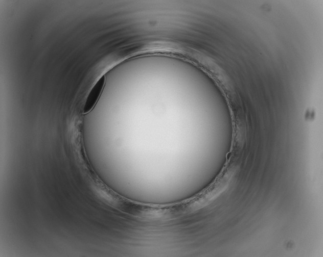 X0000103151369200808221118