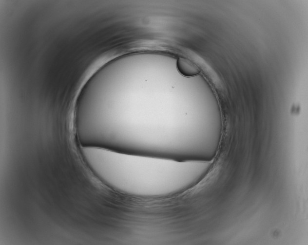 X0000103151370200808221118