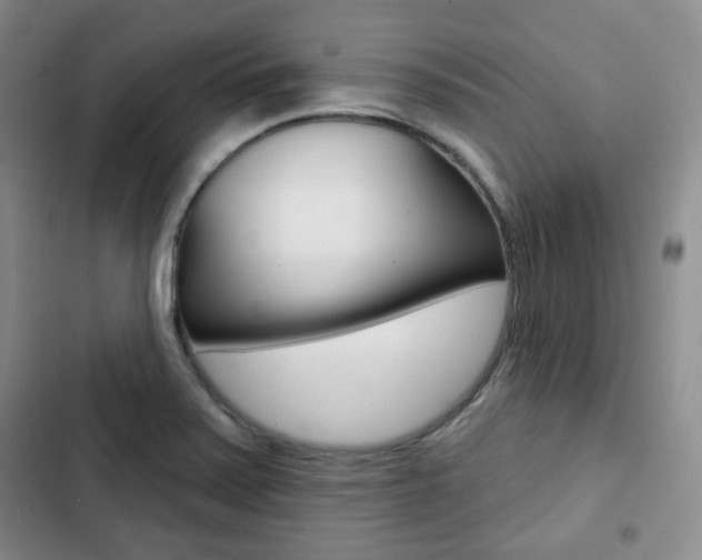 X0000103151371200808221118