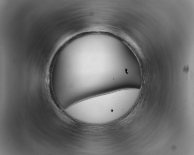 X0000103151372200808221118