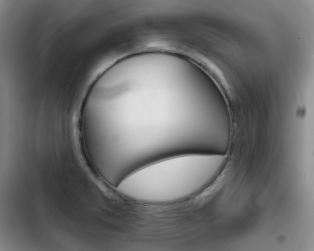 X0000103151373200808221118