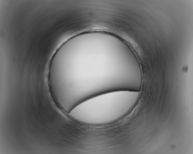 X0000103151374200808221118