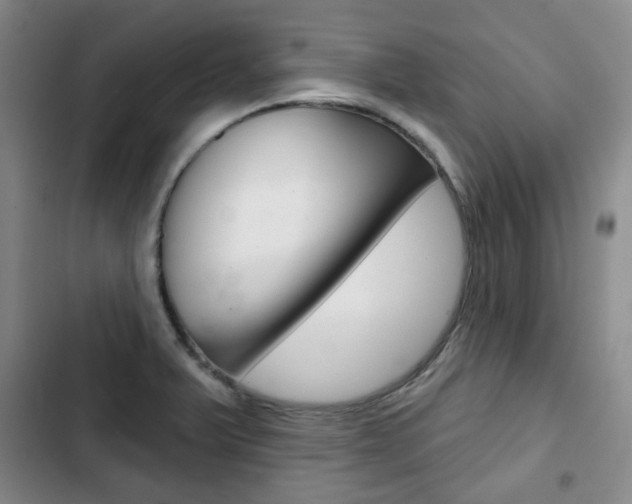 X0000103151375200808221118