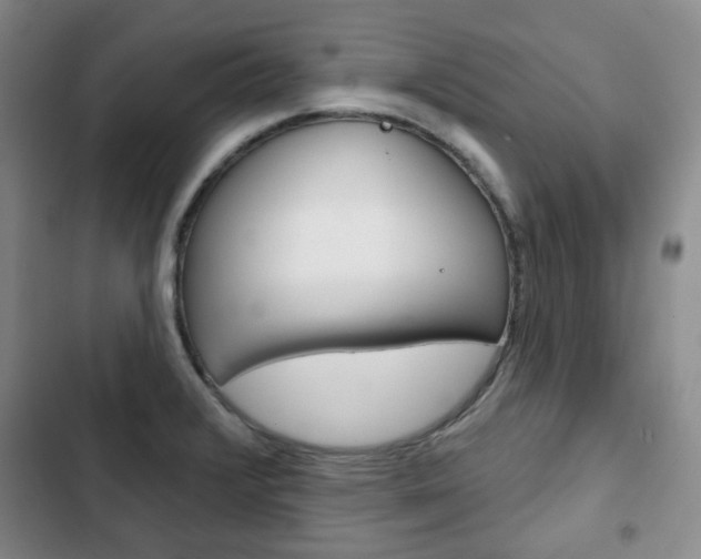 X0000103151376200808221118