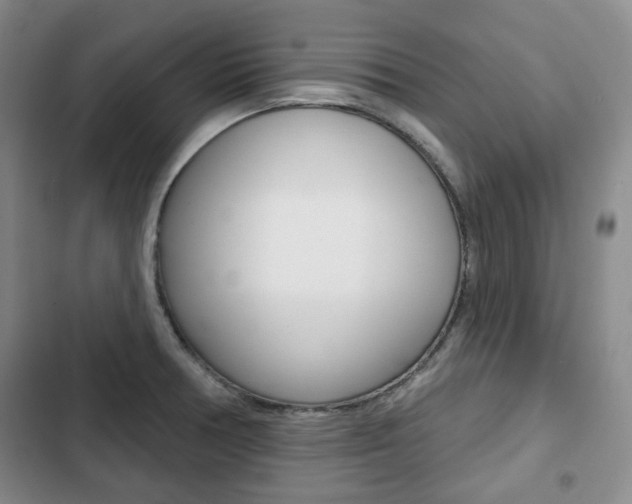 X0000103151378200808221118