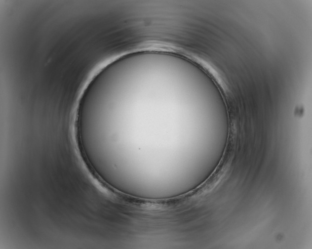 X0000103151379200808221118