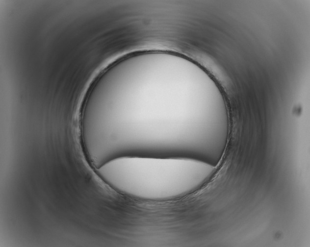 X0000103151380200808221118