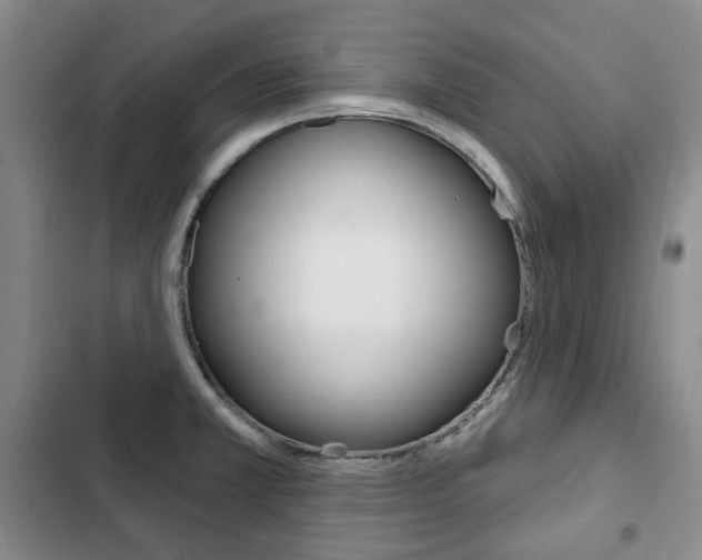 X0000103151381200808221118