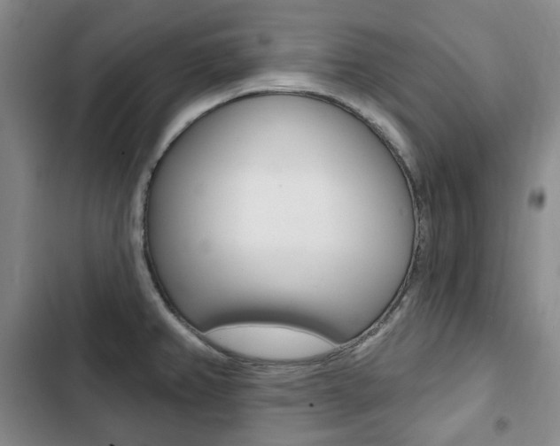 X0000103151382200808221118