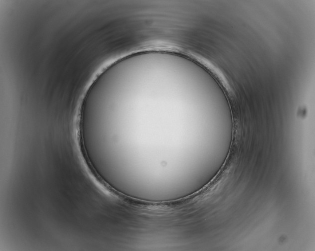 X0000103151383200808221118