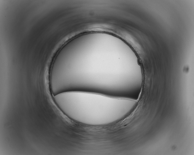 X0000103151384200808221118