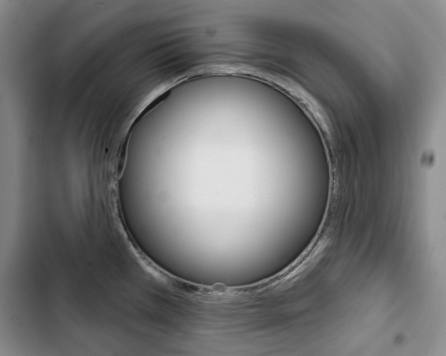 X0000103151385200808221118