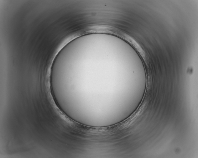 X0000103151386200808221118