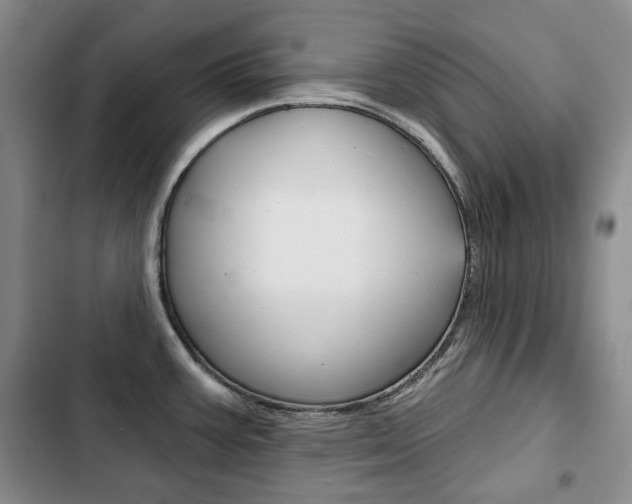 X0000103151387200808221118