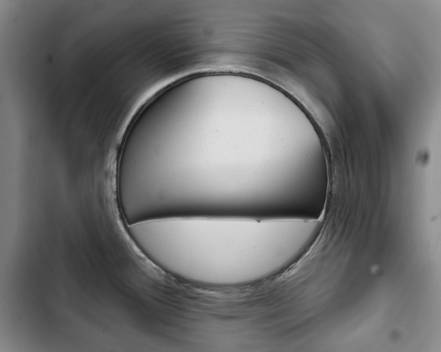 X0000103151388200808221118