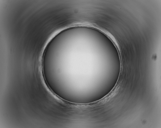 X0000103151389200808221118