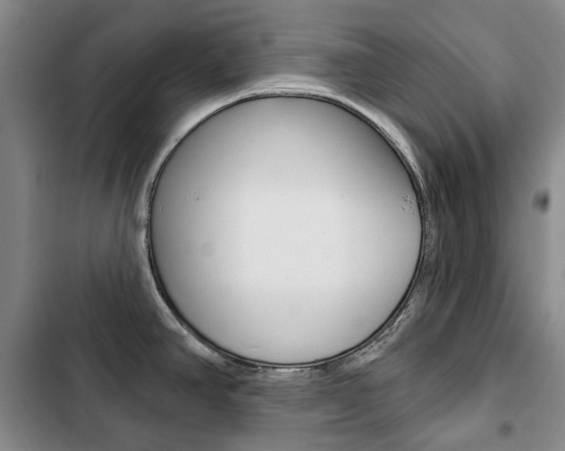 X0000103151390200808221118