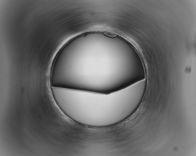 X0000103151392200808221118
