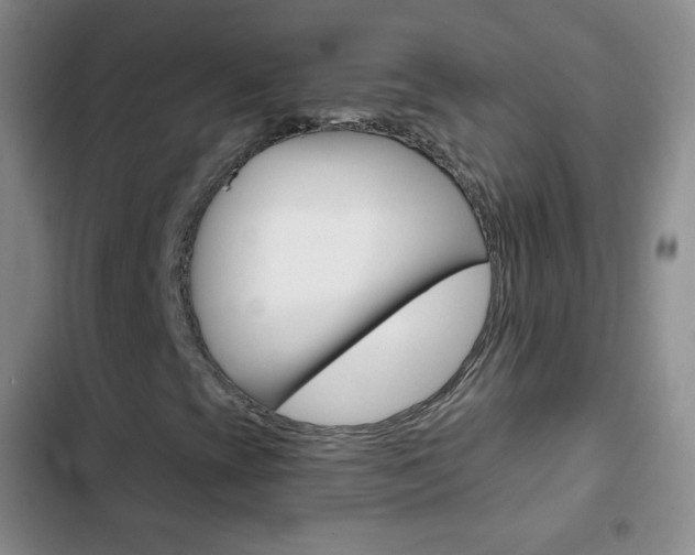 X0000103151393200808221117