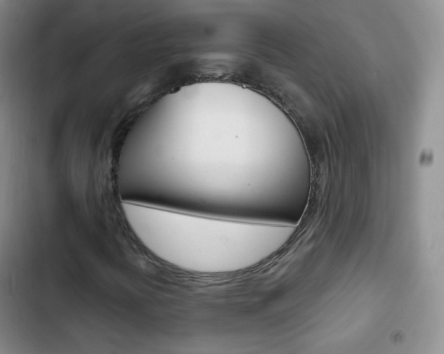 X0000103151394200808221117