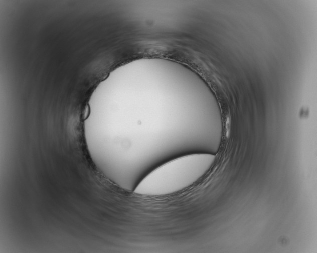 X0000103151395200808221117