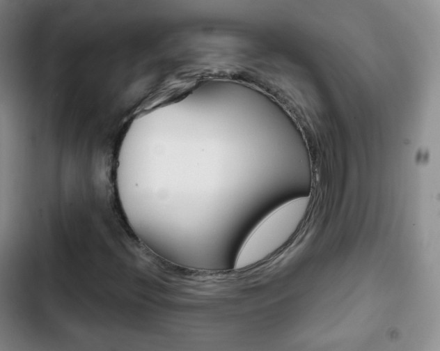 X0000103151396200808221117
