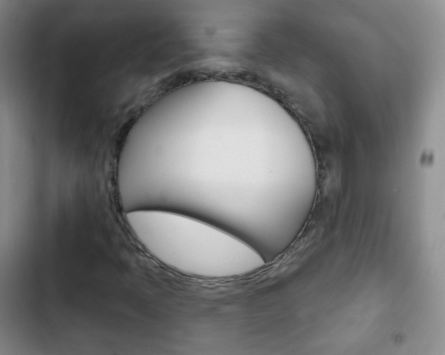X0000103151397200808221117