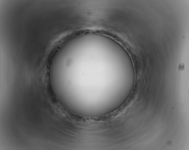 X0000103151398200808221117