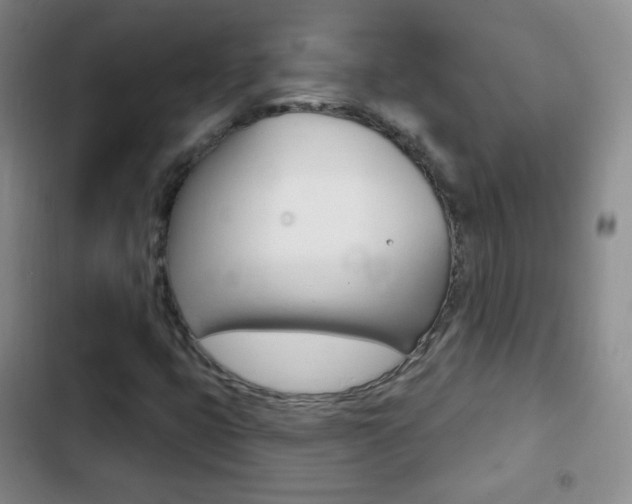 X0000103151399200808221117